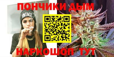 дживик Можга