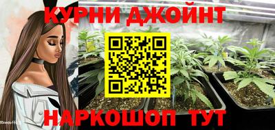 дживик Можга
