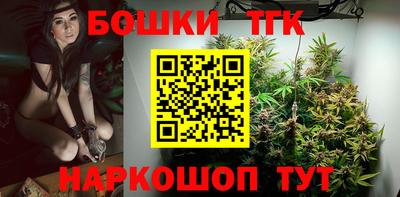 дживик Можга