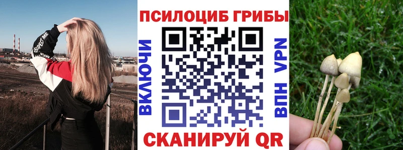 Галлюциногенные грибы прущие грибы  Фрязино 